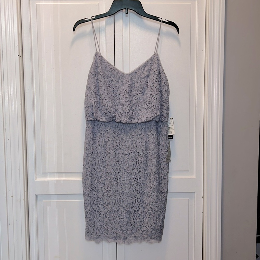 ✨ Adrianna Papell ✨ NWT Guipure Lace Blouson Dress Light Dove Size 6 - Picture 4 of 10